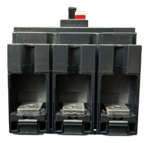 Disjuntor Nsx250f-tm250d Vigi 3p Lv431930 Schneider