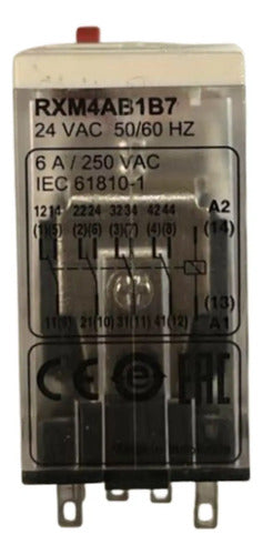 Kit Com 3: Rele Miniatura Led 4c/o 6a Rxm4ab1b7 Schneider 24vca