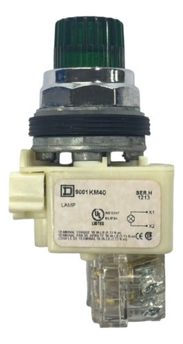 Botao 30mm Saliente Luminoso Verde 9001k2l40gh13 Schneider Verde 1naf