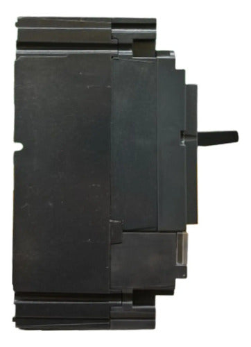 Disjuntor Tripolar 80a Nsx100f-tm80d Lv429631 Schneider