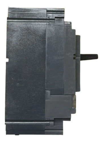 Disjuntor 3p Nsx160b-tm100d 100a Lv430302 Schneider - 50-60hz