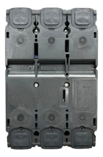 Disjuntor Tripolar 50a Nsx100f-tm50d Lv429633 Schneider