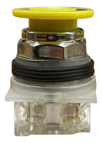 Botão 30mm Metálico Am Empurrar-puxar 9001kr9yh13 Schneider