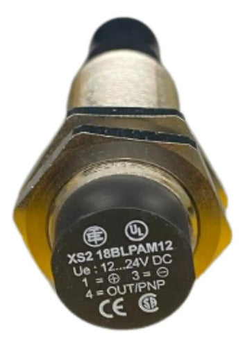 Sensor Indutivo Sn8mm 12..24vcc Xs218blpam12 Telemecanique
