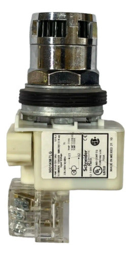 Botão 30mm Metálico Verde 1naf 9001k3l7lggh13 Schneider Verde