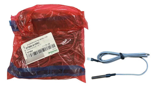 Termistor Evap 1,7m Cinza 07980-615rc Schneider