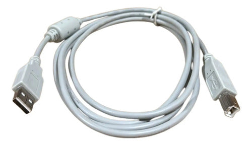 Cabo Usb-b/usb-a 1,8m Colv000008180 Schneider