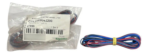 Cabo Conexao Saida Analogica De 2m Colv000042200 Schneider