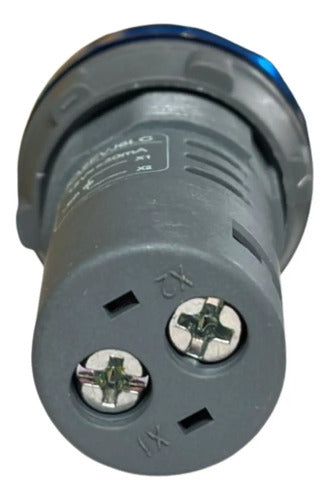 Kit Com 5: Sinalizador 22mm Led Azul 12vca/cc Xa2evj6lc 12vca/cc