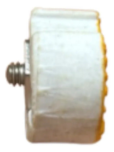 Kit Com 20: Parafuso De Ajuste Dz 25a 500v Siemens