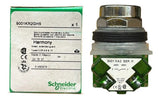 Botão 30mm Metálico A Impulsão Embutido 9001kr2gh5 Schneider