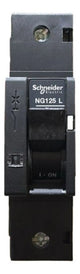 Disjuntor Unipolar Ng125l Curva C 10a 18777 Schneider