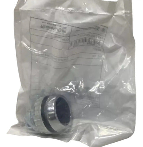 Botão Faceado Impulso Bz3/01 30 Mm Preto Ace Schmersal Novo