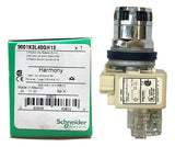 Botão 30mm Metálico Na+nf Verde 9001k3l40gh13 Schneider Verde