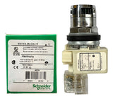 Botão 30mm Metálico 1naf Verde 9001k3l35lggh13 Schneider Verde