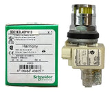 Botão 30mm Metálico Amarelo 9001k3l40yh13 Schneider Amarelo