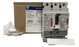 Disjuntor 3p 690v 160a Fel36ta160jf GE