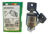 Cabecote Para Comutador Chave Especial Zb4bg6f022 Schneider Metal Cromado