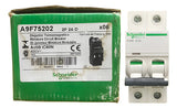 Disjuntor Acti9 Ic60n 2p Curva D 2a 440v A9f75202 Schneider
