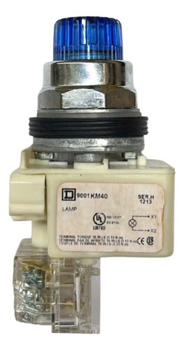 Botao Iluminado 30mm 1na 1nf Azul 9001k2l40lh13 Schneider Azul