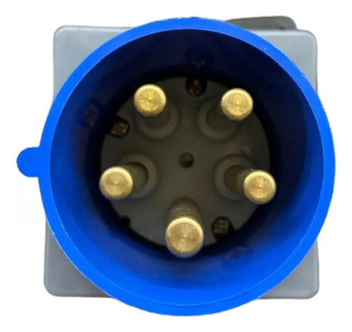 Plug Fixo Emb 3p+n+t 125a 200/250v 9h Azul S5639w Steck Azul