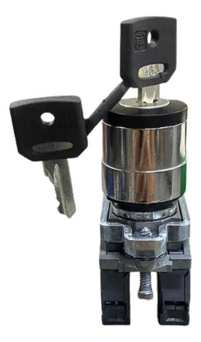 Chave Seletora Metalica Ø22mm 2 Pos Xb4bg45 Schneider Metal Cromado