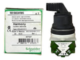 Comutador 30mm 2 Posições 1na 9001ks34fbh5 Schneider Metálico/ Verde 1na