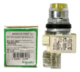 Botão 30mm Metálico 1naf Amarelo 9001k1l7lyyh13 Schneider Amarelo