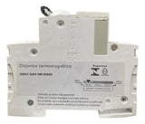 Disjuntor Acti9 In60n 2p Curva D 20a 440v A9f75220 Schneider