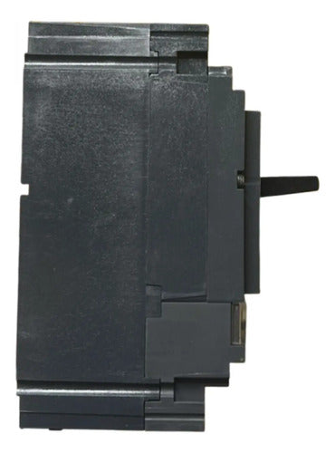 Disjuntor 3p Nsx160f-tm160d 160a Lv430620 Schneider