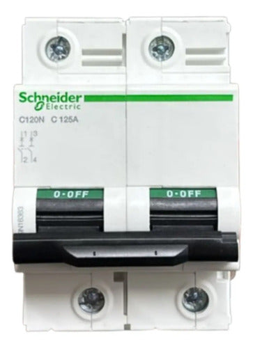 Disjuntor C120n 2p Curva C 125a 440v A9n18363 Schneider