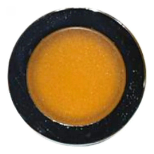 Kit Com 2: Cabeçote Para Sinalizador Zb4fv053 Schneider Laranja 0
