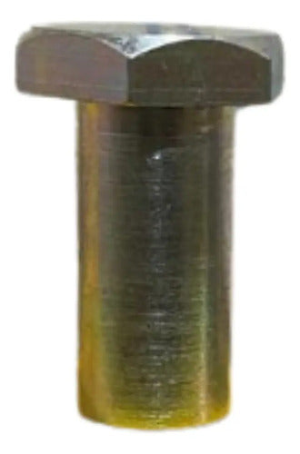 Kit Parafusos 2x10mm Linergy Bs Lvs04645 Schneider
