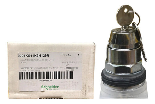 Comutador 30mm 2 Posições 9001ks11k3h129r Schneider Metálico -