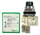 Botão 30mm Metálico 1naf Verde 9001k2l38lggh13 Schneider Verde -