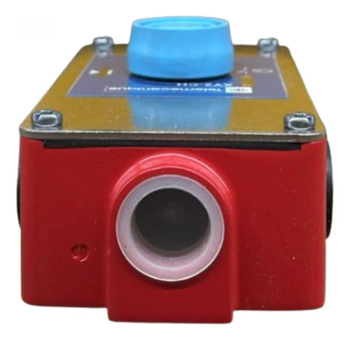 Chave De Segurança Xy2ch13270h29 Telemecanique Misto