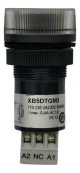 Temporizador Xb5dtgm3 22mm 60s 220v Schneider