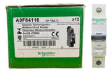 Disjuntor Acti9 Ic60h 1p Curva C 16a 230v A9f84116 Schneider