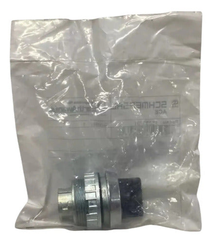 Comutador Preto Az3 90/01 30 Mm 2 Posições Ace Schmersal
